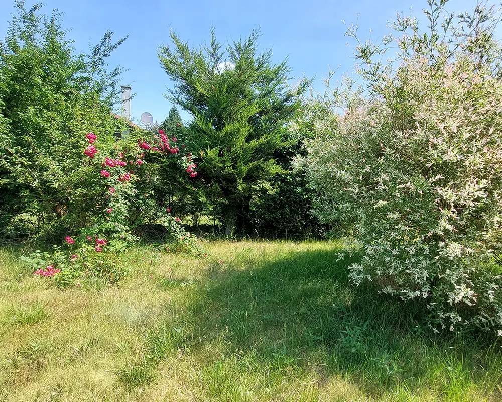 Parkplatz im Grünen - Pension Haus Germania