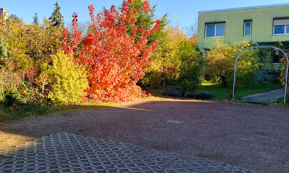 Parkplatz im Herbst - Pension Haus Germania